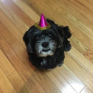 Meet your Posher, Macie